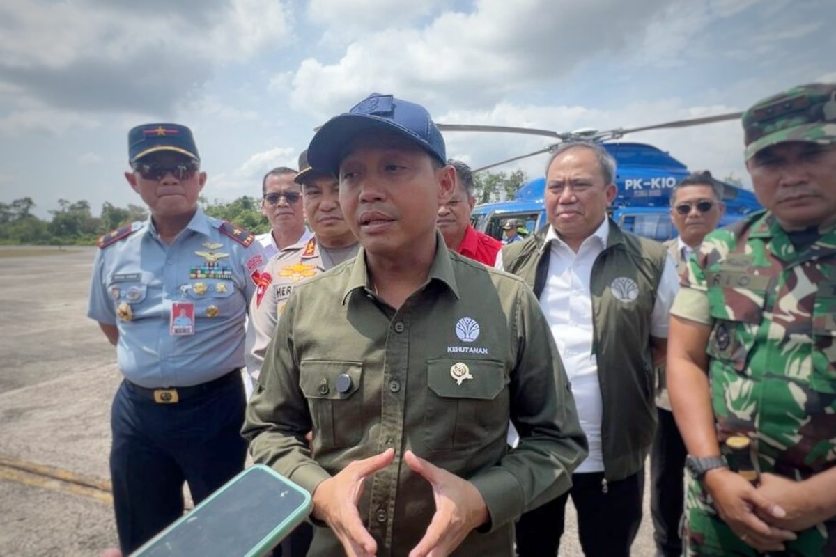 Kemenhut Segel 3 Perusahaan di Riau