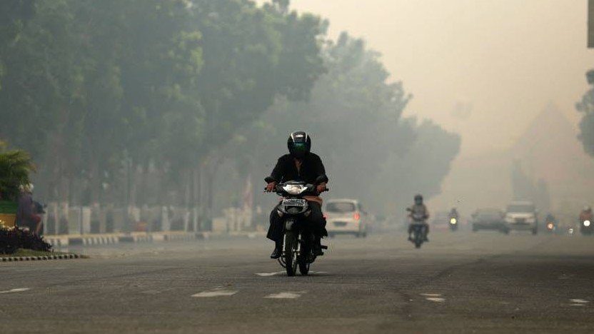 Ibu 54 tahun Tersangka Pembakar Lahan, Korporasi Ribuan Hektar dan Lokasi FOLU Terbakar tak Tersentuh